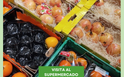 Visita al supermercado «con visión de dietista»