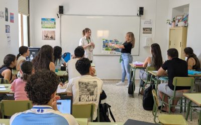 Reconocimiento de Iniciativa Internacional Joven